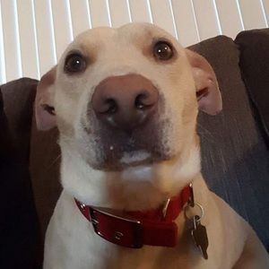 Meet your Posher, Maggie